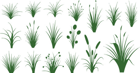 There is a collection of images of green grasses and plants, including bulrush. This arrangement creates a visually appealing grid that allows viewers to appreciate the diversity of plants represented