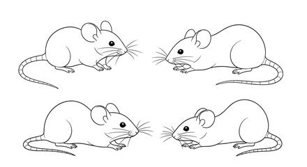 Line art illustration of four curious white mice with whiskers and tails, facing each other in pairs on a clean white background.