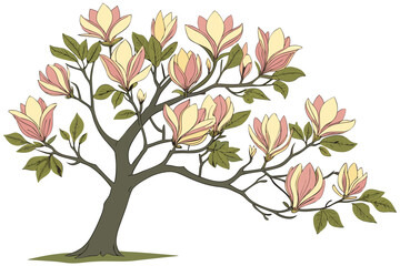 Obraz premium A beautiful magnolia tree with pink and yellow flowers and green leaves on a white background
