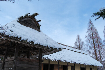 メタセコイアと茅葺屋根