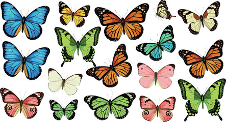 Fototapeta premium Colorful Butterfly Collection with Realistic Species in Different Wing Patterns Detailed Flat Vector Illustration Set