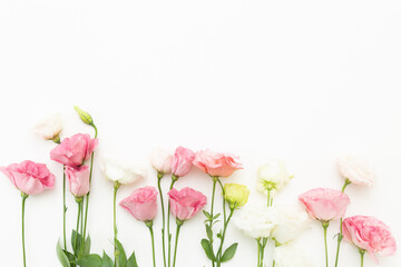 トルコギキョウ　白バック