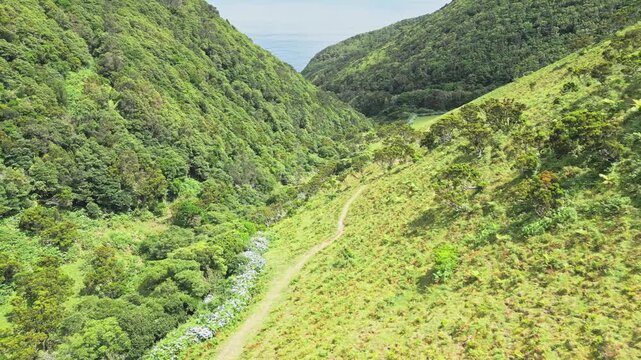 Lush green valleys on a hike to Caldeira da Cumbre in Sao Jorge, Azores