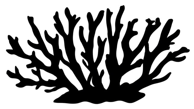 A Silhouette of intricate coral. The detailed form of the coral is striking