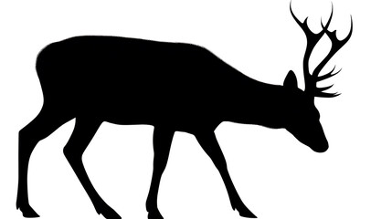 Silhouette of a deer with impressive antlers in elegant stride