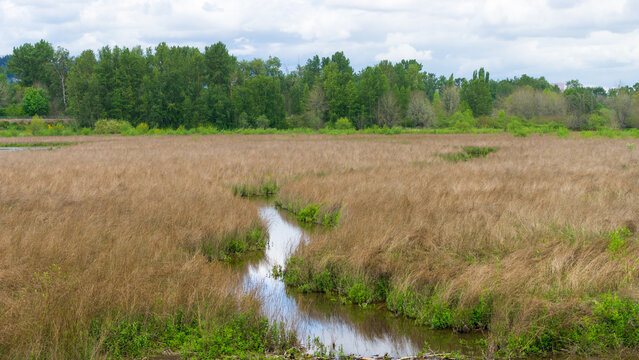 Oaks Bottom Wildlife Refuge, Portland, Oregon