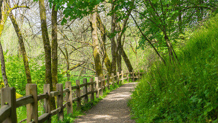 Oaks Bottom Wildlife Refuge, Portland, Oregon