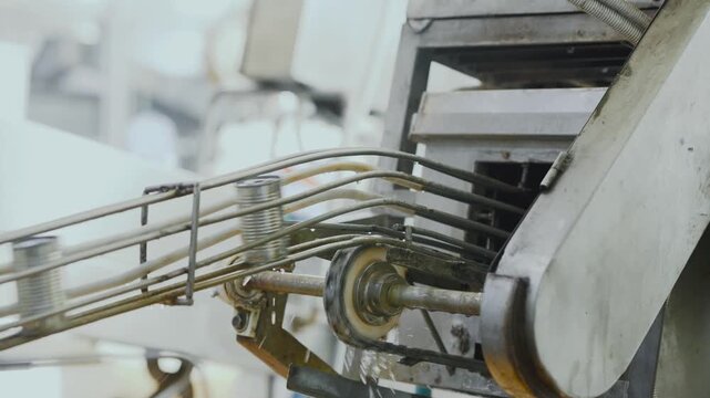 Closed tin cans travel through conveyor system toward labeling machine in seafood processing facility, highlighting automated packaging line, and efficient factory operation concept.