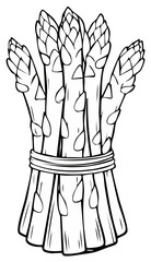 Black and white illustration of a bunch of asparagus