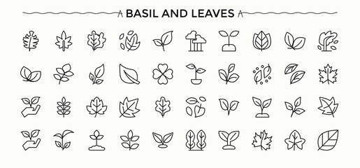Basil and Leaves simple icon set. Outline symbol collection. Includes symbols for leaves, leaf, plant, natural, nature, garden. Editable stroke. Vector collection. Nature icon set.