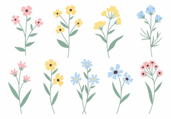 Fototapeta premium Collection of Hand Drawn Floral Illustrations for Digital Use
