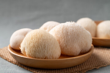 Fresh Lion's Mane mushroom (Hericium erinaceus), known for nootropic benefits and medicinal properties © nungning20