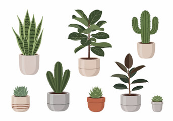 Fototapeta premium Collection of Various Potted Indoor Plants for Home Decor