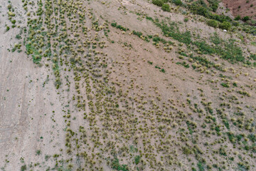 Aerial view of landfills after environmental remediation and revegetation with natural grasses