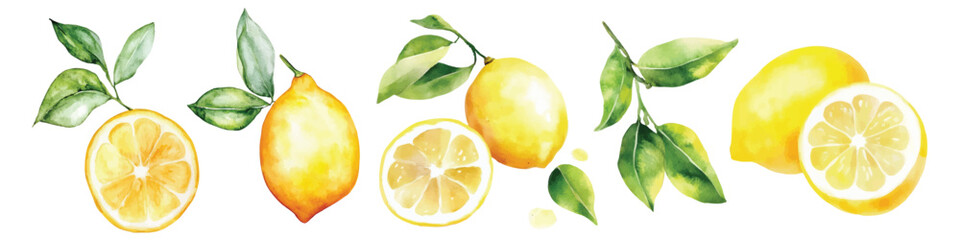 watercolor lemon fruit slice with green leaves illustration hand drawn fruits clip art