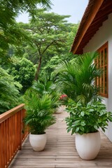 Fototapeta premium Tropical balcony with palm plants and wooden deck