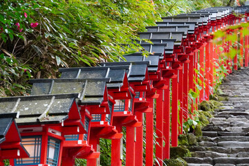 京都貴船神社の朱塗りの灯籠が立ち並ぶ参道の石段
