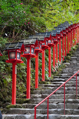 京都貴船神社の朱塗りの灯籠が立ち並ぶ参道の石段