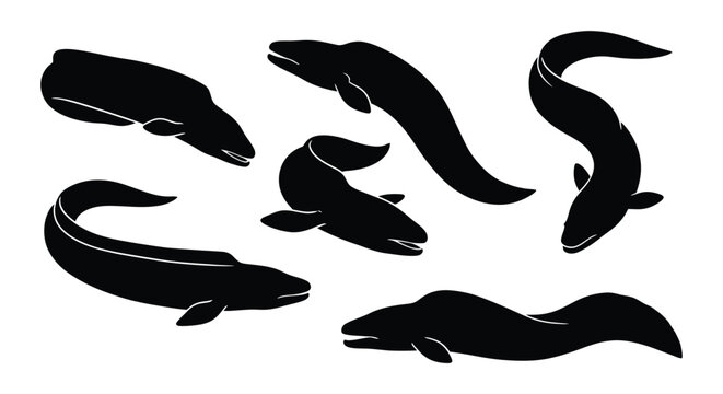 Black silhouettes of multiple eels swimming in various curved positions