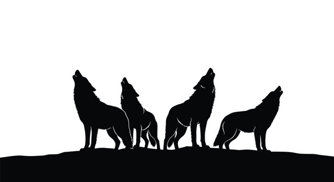 Silhouette of four wolves howling on a dark ridge against a white background
