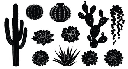 Various cactus and succulent plants displayed as a striking black silhouette design © Jewel