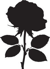 Silhouette of a single person walking on a beach during a colorful sunset