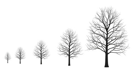 Obraz premium Trees of different sizes with bare branches on transparent background