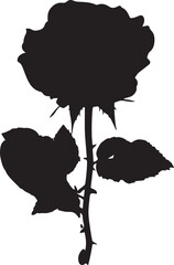 Silhouette of a couple holding hands on a beach during a vibrant sunset