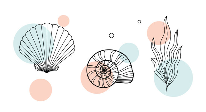 Simple line art collection of seashells and seaweed over soft pastel colored circles for a minimalist coastal theme.