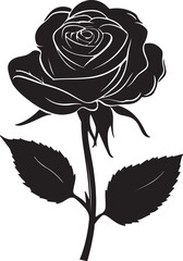 Diverse group of people silhouetted against a bright, abstract background, representing unity and connection.