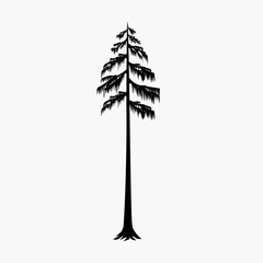 Fototapeta premium Unique Conifer Tree Silhouette Minimalist Style