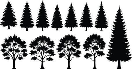 Black cat silhouette vector set, domestic kitten sitting and stretching collection, pet animal graphics isolated on white background, feline bundle, © Rowshan