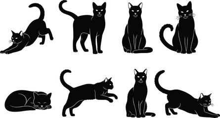 Black cat silhouette vector set, sitting and stretching domestic feline collection, playful kitten poses, isolated house pet graphics on white, bundle. © Rowshan