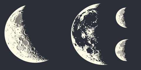 A detailed depiction of the moon phases from new moon to full moon and back to new moon Vector ©  MST RABEYA  BEGUM