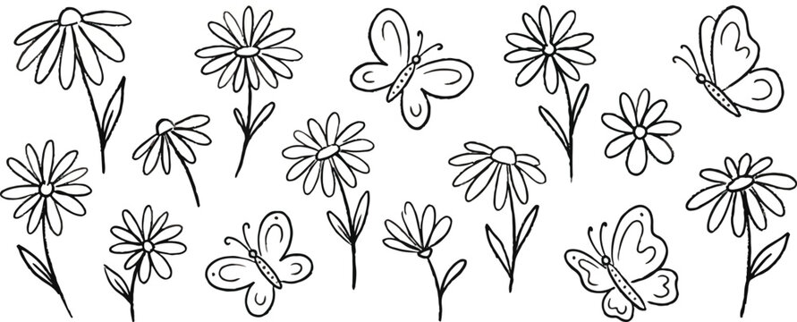 Crayon drawn flower and butterfly doodle collection. Hand drawn vector floral outline elements with pencil or chalk texture. Cute nature summer or spring black clipart. Simple daisy and butterfly.