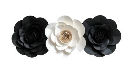 Three paper flowers, two black flanking a white one, against a black background