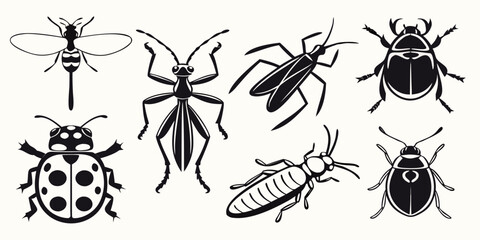 A diverse collection of insects showcasing various species and their unique characteristics. Vector © ADOBE