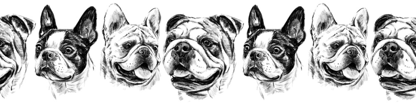 Seamless horizontal border with hand drawn dog portraits in pencil style. Realistic black and white bulldog and boston terrier heads create a repeating decorative trim for print or fabric design.