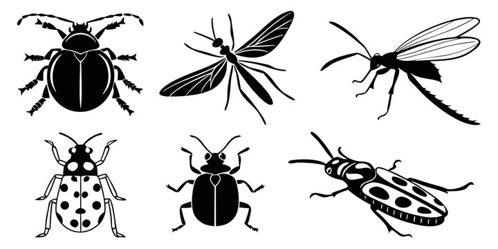 A diverse collection of insects including mosquitoes, beetles, and ants Vector