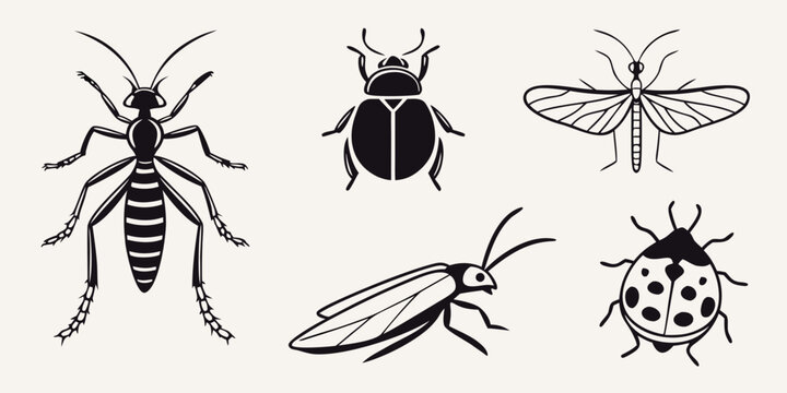 A diverse collection of insects showcasing various species and their unique characteristics. Vector