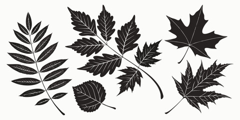 A collection of various autumn leaves and acorns scattered on a white background Vector © ADOBE