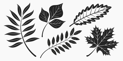 A collection of various types of leaves showcasing their unique shapes and structures. Vector © ADOBE