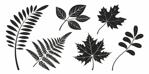 A collection of various leaf shapes and patterns in black and white. Vector © ADOBE