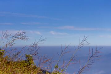 A serene summer landscape of green grass under a blue sky meets coastal sand dunes and reeds reflecting in the calm sea water at sunset