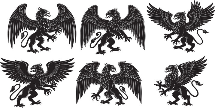 Griffin silhouette set, mythical creature eagle lion hybrid, heraldic heraldry symbols, cad drawing flat vector illustration, fantasy monster mascot,