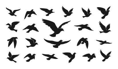 Silhouettes of birds in flight against a white background flying wings © hafsa01
