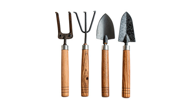 Four garden tools  cultivator, a hand fork, a trowel, and a weeder isolated on transparent background