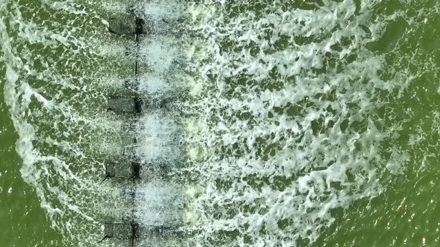 An aerial view of a paddle wheel aeration system creating strong water movement, illustrating modern aquaculture practices, oxygenation efficiency, pond management, and sustainable seafood production.