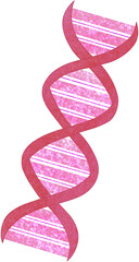 pink DNA illustration