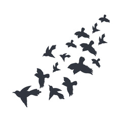 Silhouette of a Group of Flying Bird. Isolated on White Background. Flat Vector Illustration.